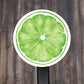 Lime Round Stickers, Envelope Seals, Gift Wrap Stickers,  2" Circle Stickers