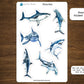 Sharks Sticker Sheet